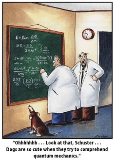 PHY_InfoBlock_CapacitorField