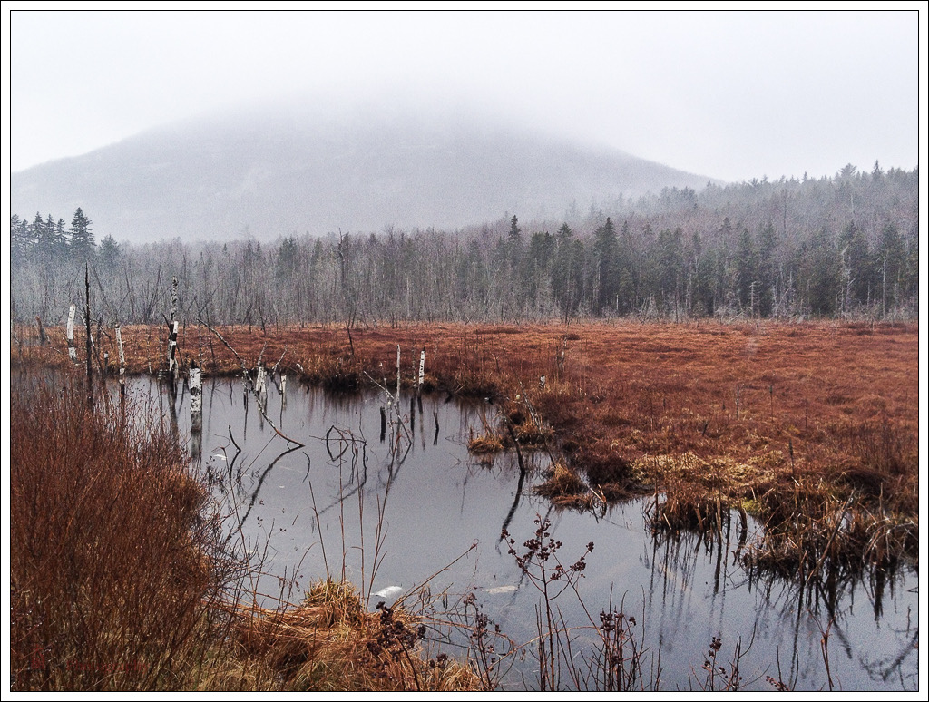 northschoodicbog_med_hr