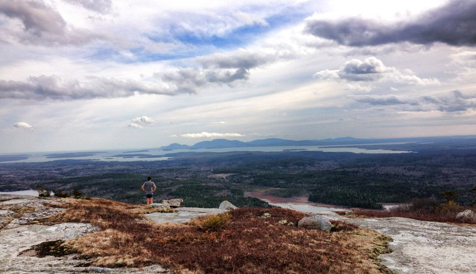 schoodiccropped_med_hr